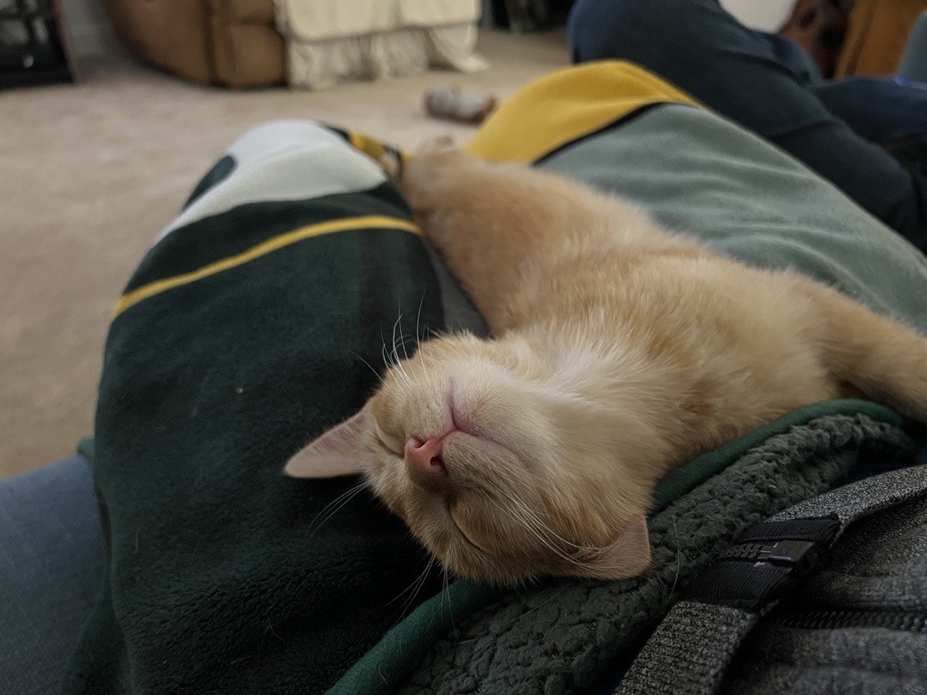 An orange ticked tabby cat sleeping on a green blanket