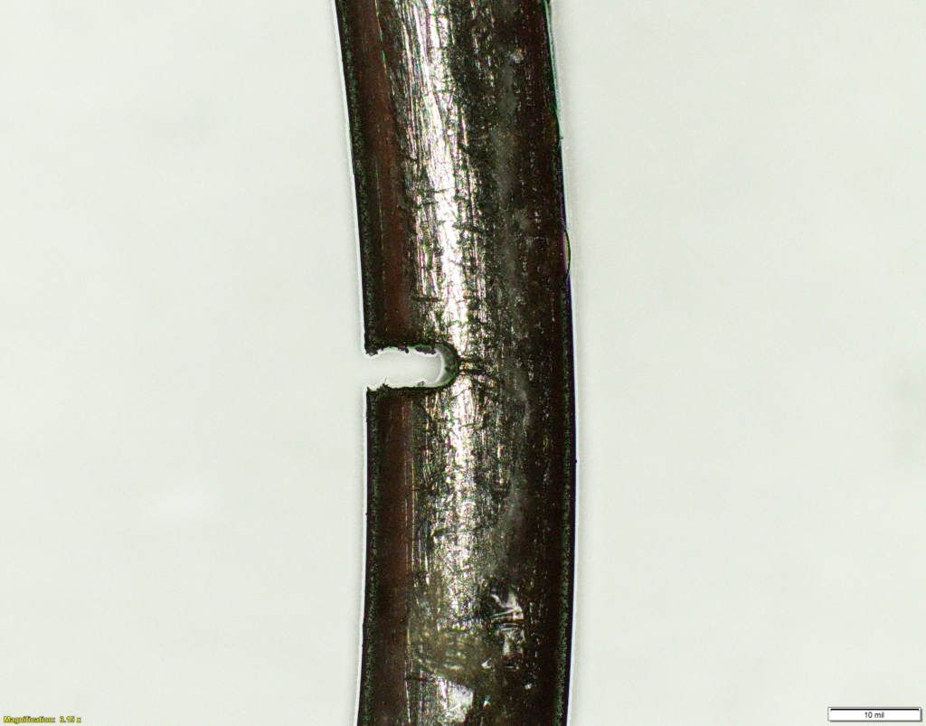An extreme close up of a wire specimen against a white background with a c-shaped slit cut into the left side.